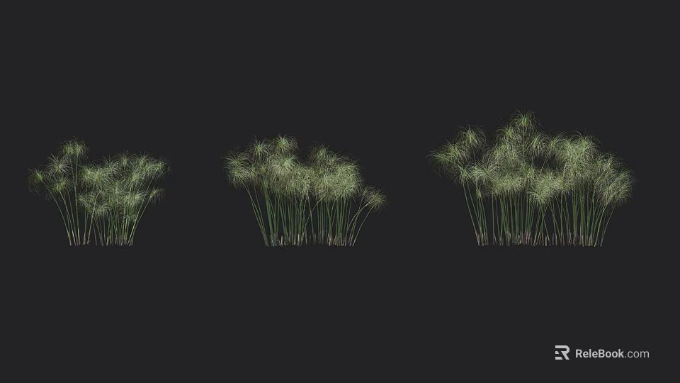 Various Types of Green Grass Plants in Natural Growth Arrangements 3d model 