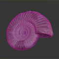 Intricate Spiral Fossil Sculpture With Natural Textured Patterns And Detailed Carving