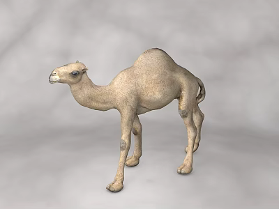 Decorative Light Brown Camel Figurine With Detailed Features On Gray Background 3d model