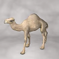 Decorative Light Brown Camel Figurine With Detailed Features On Gray Background 3d model