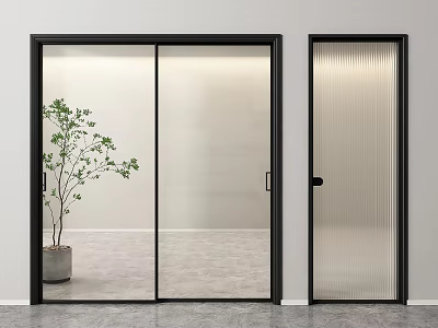 Modern Sliding Glass Door And Ribbed Glass Door With Black Frame And Plant 3d model