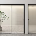 Modern Sliding Glass Door And Ribbed Glass Door With Black Frame And Plant