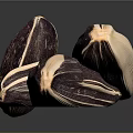 Dark Purple Sunflower Seeds With White Edges Arranged On Dark Background