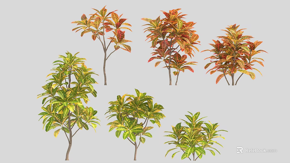 Decorative Tropical Trees With Vibrant Green Yellow Red Leaves And Various Forms 3d model 