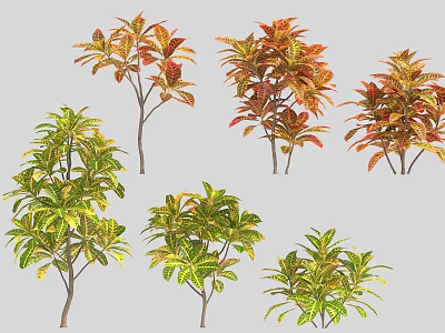 Decorative Tropical Trees With Vibrant Green Yellow Red Leaves And Various Forms 3d model