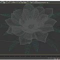 Stunning Vase Flower With Gray Green Petals And Yellow Center Design