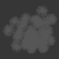 Graceful Green Plants With Long Slender Stems And Feathery Leaves On Dark Background