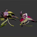 Various Colorful Orchids with Different Shapes on Dark Background Display Beautifully