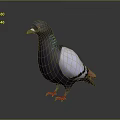 Realistic Animal Painting of Pigeon with Dark Gray Body White Wings and Green Iridescent Neck