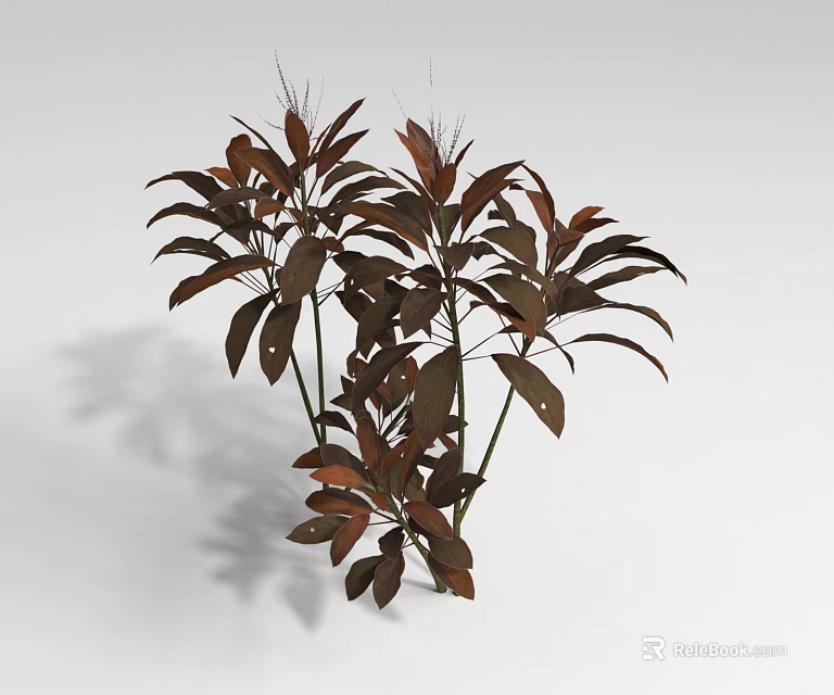 Lush Shrub With Dark Red Leaves And Dense Branch Structure In Natural Light 3d model 