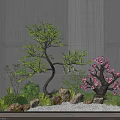 Courtyard Garden With Lush Green Tree Pink Blossom Stone Decorations And Gray Wall Backdrop