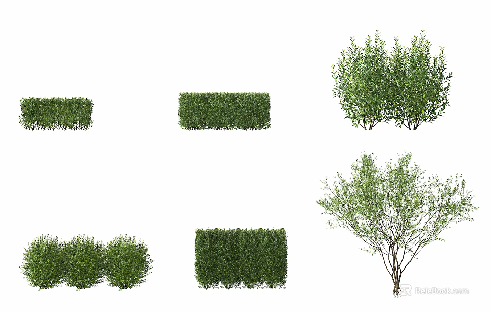 Various Types of Green Shrubs Including Trimmed Hedges And Natural Bushes For Garden Landscape 3d model 