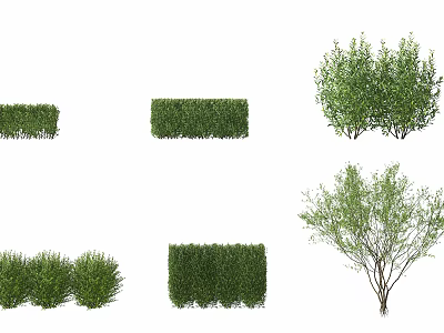 Various Types of Green Shrubs Including Trimmed Hedges And Natural Bushes For Garden Landscape 3d model