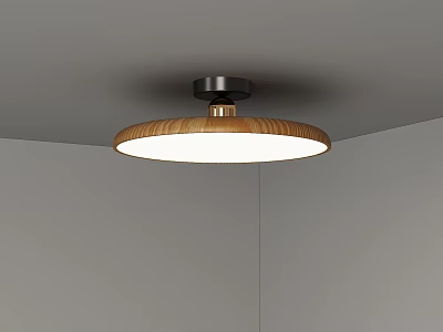 Middle style bedroom ceiling lamp 3d model