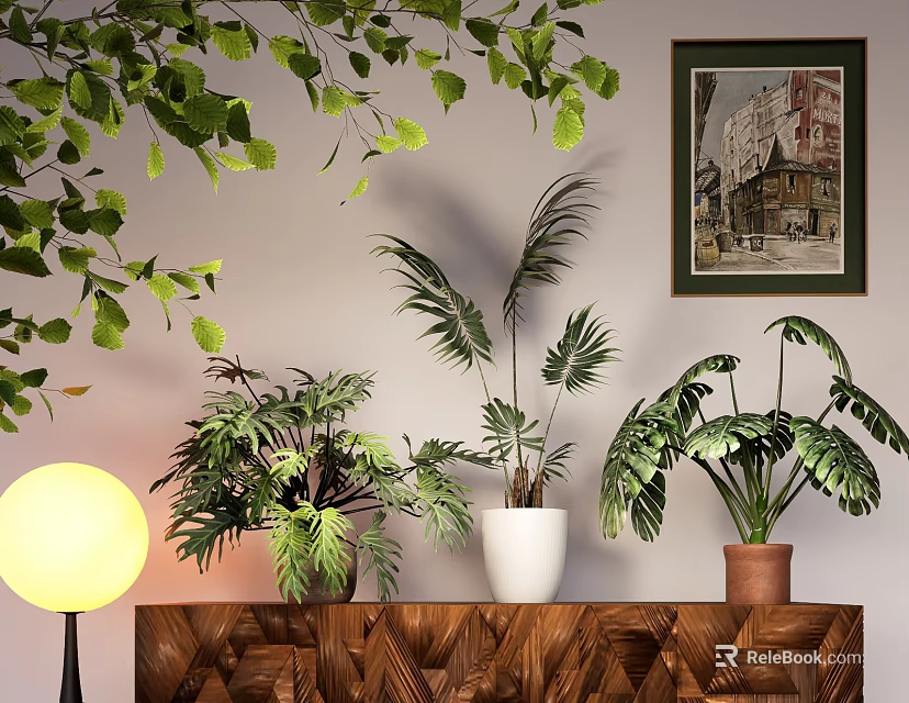 Decorative Potted Houseplants In White Terracotta Pots On Wooden Cabinet With Leafy Decor And Floor Lamp 3d model 