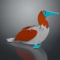 Cartoon Style Bird Figure With Orange White Feathers And Blue Beak And Feet