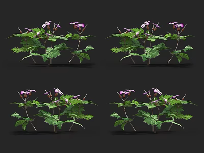 Decorative Plants With Lush Green Leaves And Purple Blooms In Four Views 3d model