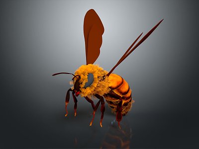 Modern Honey Bee Hornet Peak Wasp 3d model