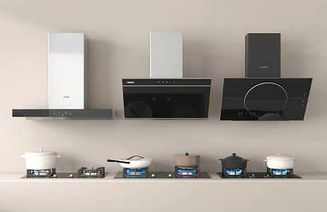 Modern Range Hood Gas Stove 3d model
