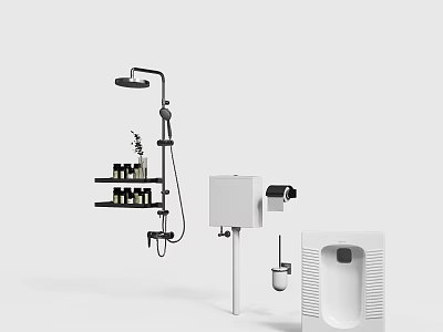 Modern Bathroom Set With Rain Shower Head Handheld Shower Shelf And Toilet 3d model