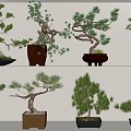 New Chinese potted plant combination 3d model