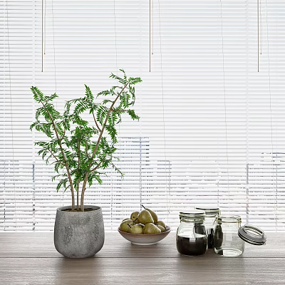 Modern Potted Plant 3d model