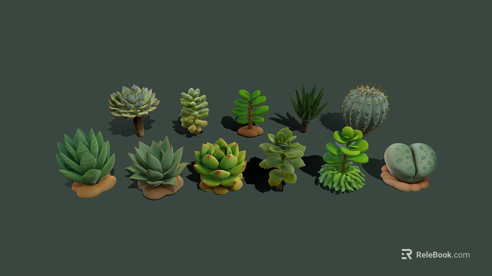 Diverse Succulent Plants Collection With Various Shapes Textures And Green Foliage 3d model 