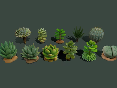 Diverse Succulent Plants Collection With Various Shapes Textures And Green Foliage 3d model