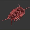Detailed Red Trilobite With Orange Antennae And Legs On Gray Background