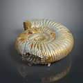 Ammonite Fossil Displaying Spiral Structure And Rich Brown Golden Textured Surface