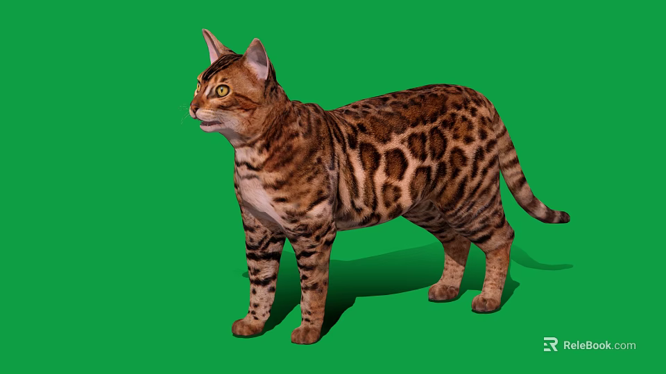 Spotted Cat With Brown And Black Coat Standing On Green Background 3d model 
