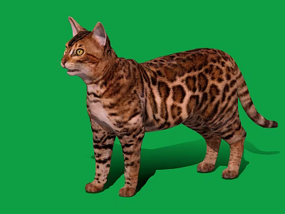 Spotted Cat With Brown And Black Coat Standing On Green Background 3d model