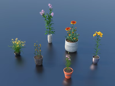 Potted Bonsai Plants With Purple Yellow Orange Flowers In Decorative Pots 3d model