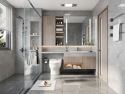 Modern Toilet Shower model