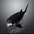 Realistic 3D Fish Model With Detailed Fins Sleek Tail And Gray Background