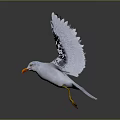 White Seagull Flying Animal With Spreading Wings Orange Beak And Yellow Feet