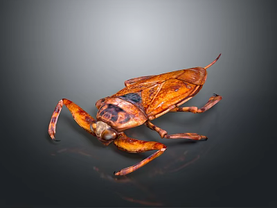 Aquatic Insect With Brown Body Distinct Wings Long Legs Shiny Appearance On Dark Gradient Background 3d model