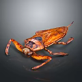 Aquatic Insect With Brown Body Distinct Wings Long Legs Shiny Appearance On Dark Gradient Background