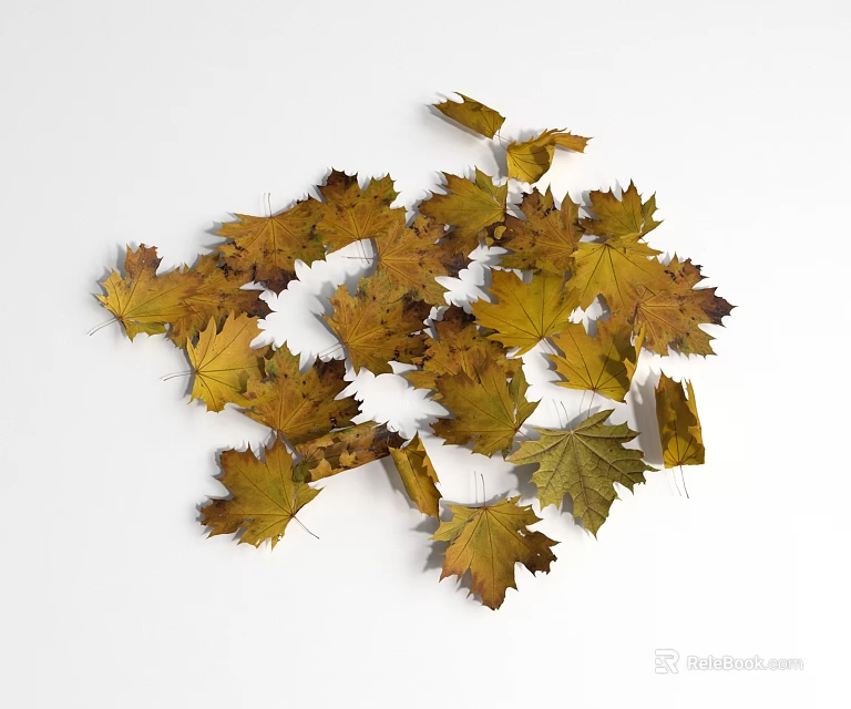 Yellow And Brown Maple Leaves As Scattered Ground Cover On White Background 3d model 