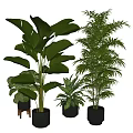 Indoor Potted Plants With Various Green Leaves In Black Pots And Small Stool