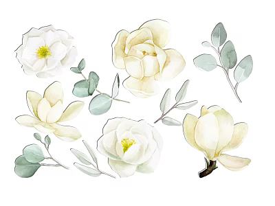 Delicate Watercolor White Flowers with Green Leaves and Stems Art Elements 3d model