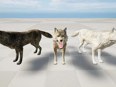 Three Wolves Standing On Light Checkered Floor With Open Sky And Horizon 3d model