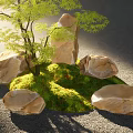Natural Rockery Stones Arrangement with Green Moss and Leafy Tree in Garden