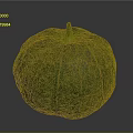 Organic Fresh Green Round Pumpkin With Textured Skin And Yellow Stem