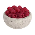 Fresh Mixed Fruits in Stone Bowls with Cranberries Apricots Blueberries and Raspberries
