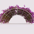 Arched Garden Pergola With White Metal Frame Covered In Purple Flowers And Green Leaves