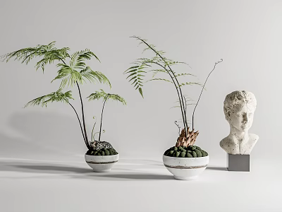 Bonsai Potted Fern Plants In White Ceramic Pots With Decorative Bust Sculpture 3d model