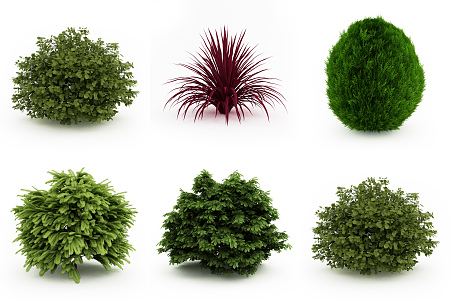 Modern shrubs 3d model