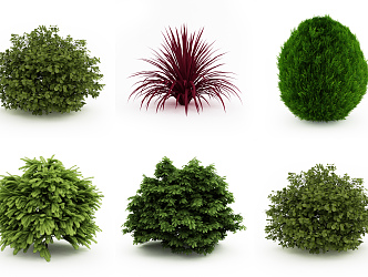 Modern shrubs 3d model