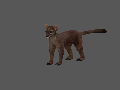 Detailed Brown Reptile Standing On Gray Background With Realistic Texture And Tail 3d model